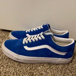 Blue Skater Vans